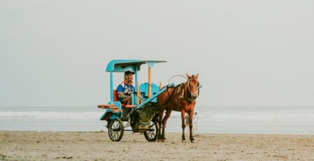 man riding carriage on beach
